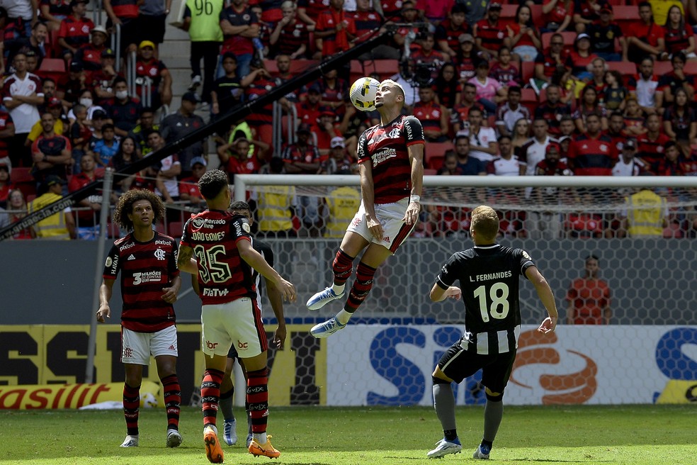 Botafogo vence o Flamengo no Mané e aumenta instabilidade no rival