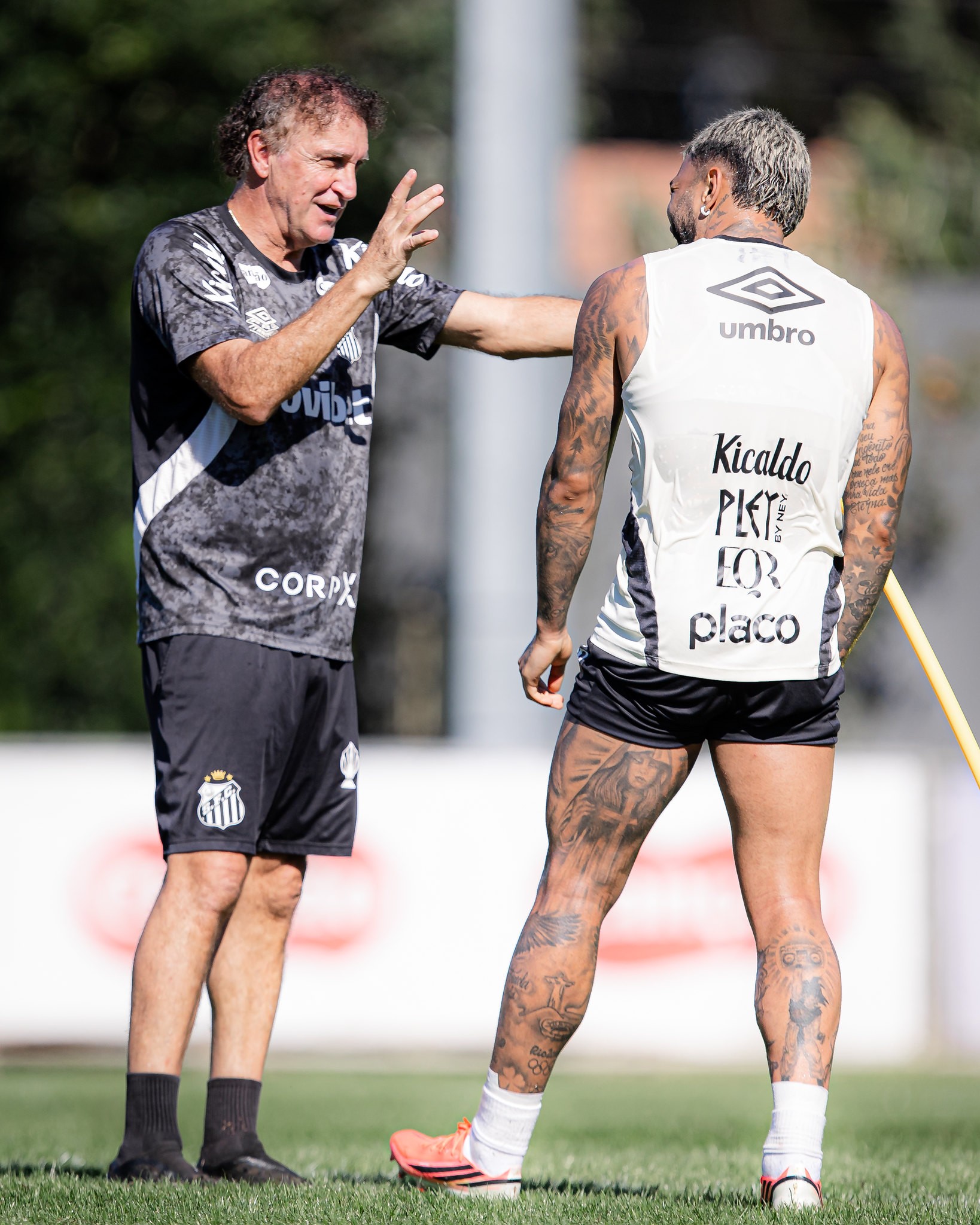 Cuca em busca do substituto de Gabigol no Santos para enfrentar o Botafogo