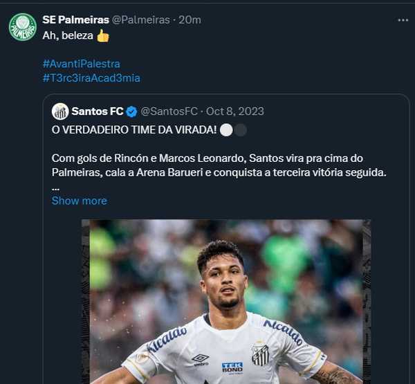 Palmeiras ironiza post antigo do Santos e brinca com gato após título
