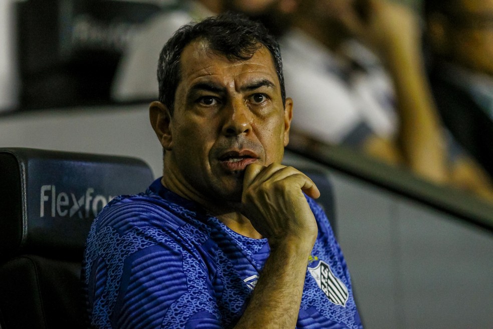 Fábio Carille esteve em Mirassol e recebeu uma proposta do clube — Foto: Marco Miatelo/AGIF