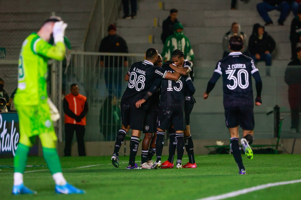 Jogadores do Botafogo comemoram gol de Alex Telles contra o Juventude — Foto: Luiz Erbes/AGIF