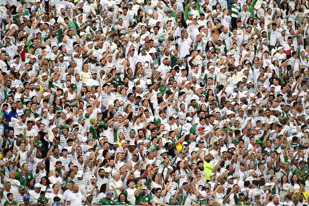 Torcida do Palmeiras no clássico contra o São Paulo — Foto: Marcos Ribolli