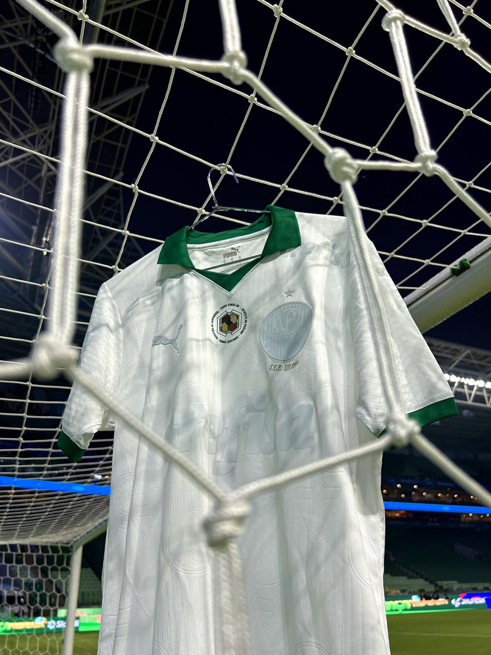 Camisa especial Palmeiras - #SomosSociedade — Foto: Reprodução Twitter/Palmeiras