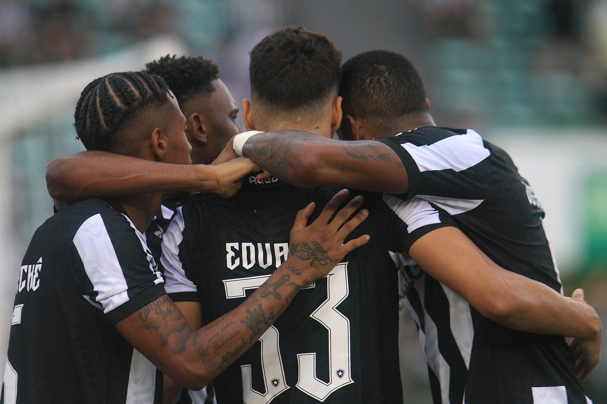 Veja o que o Botafogo precisa para se classificar às semifinais do ...
