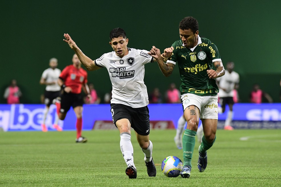 Savarino disputa a bola com Marcos Rocha em Palmeiras x Botafogo — Foto: Marcos Ribolli