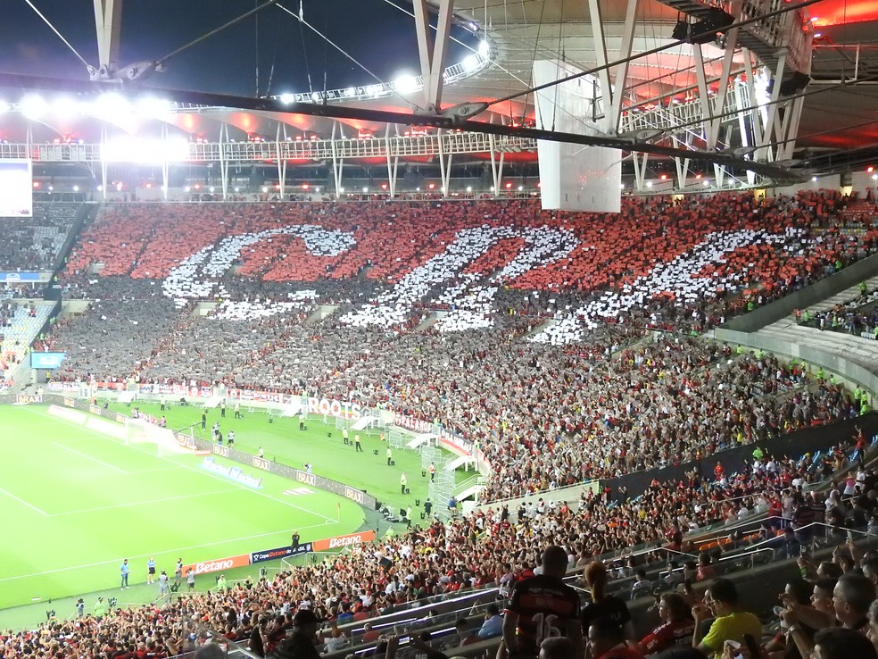 CRF de Clube de Regatas do Flamengo é exibido no setor sul do Maraca — Foto: Fred Gomes