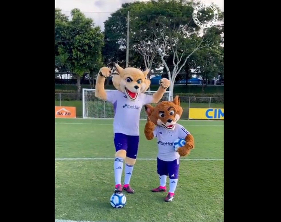 Versões iniciais do Raposão e do Raposinho, após modernização, foram criticadas pela torcida do Cruzeiro — Foto: Reprodução/ Cruzeiro