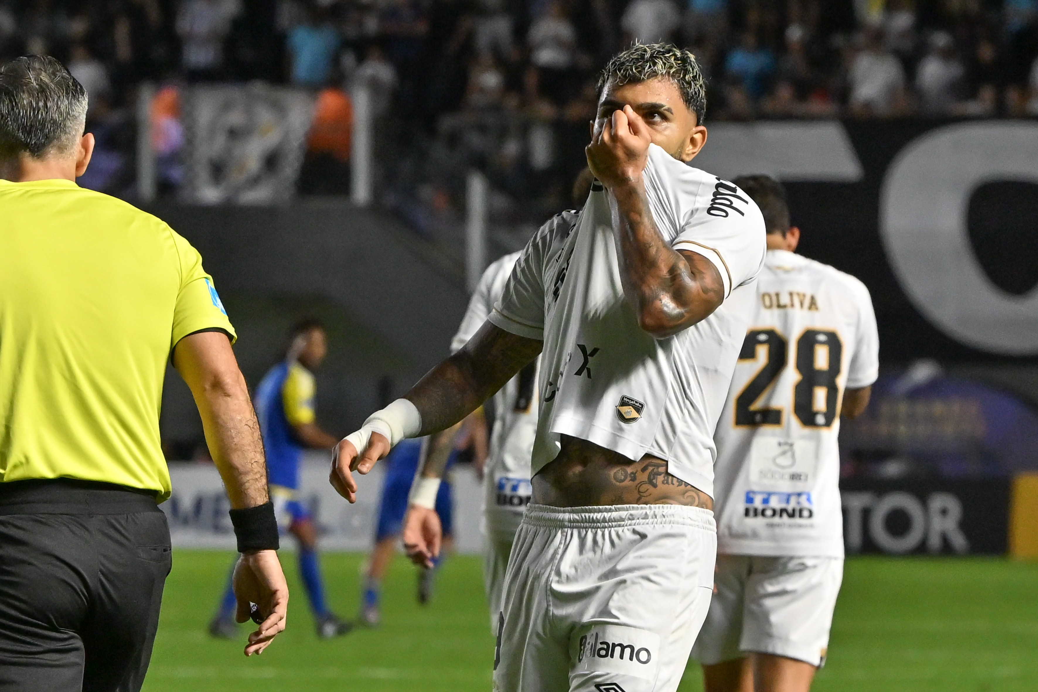 imagem