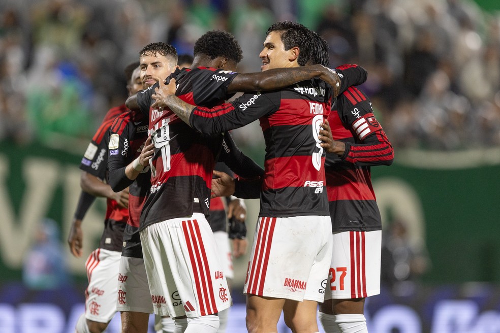 Chapecoense x Flamengo � Foto: Liamara Polli/AGIF