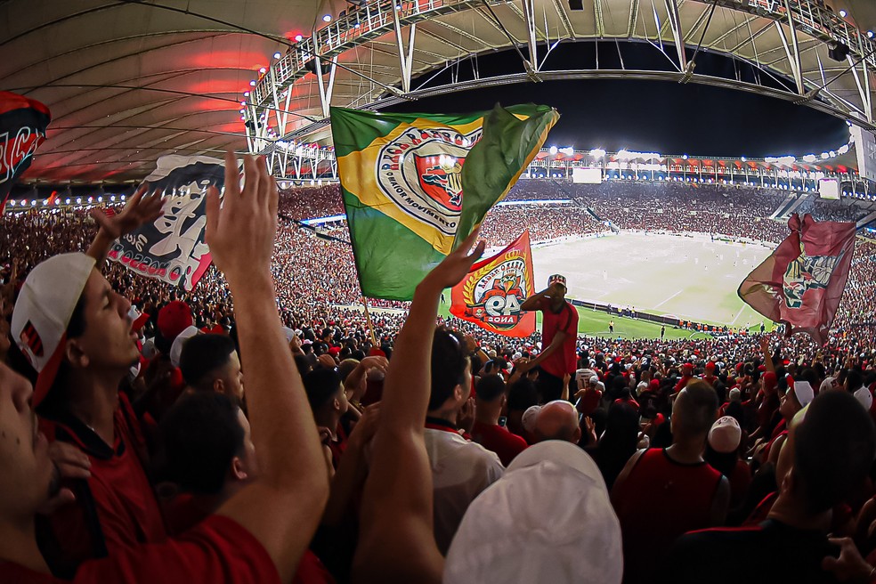 Torcida do Flamengo contra o Bahia pela 12ª rodada do Brasileirão, no Maracanã — Foto: Paula Reis/Flamengo