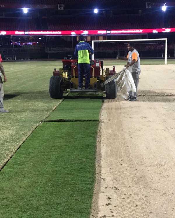 São Paulo aproveita férias para trocar gramado e pintar arquibancadas do Morumbi