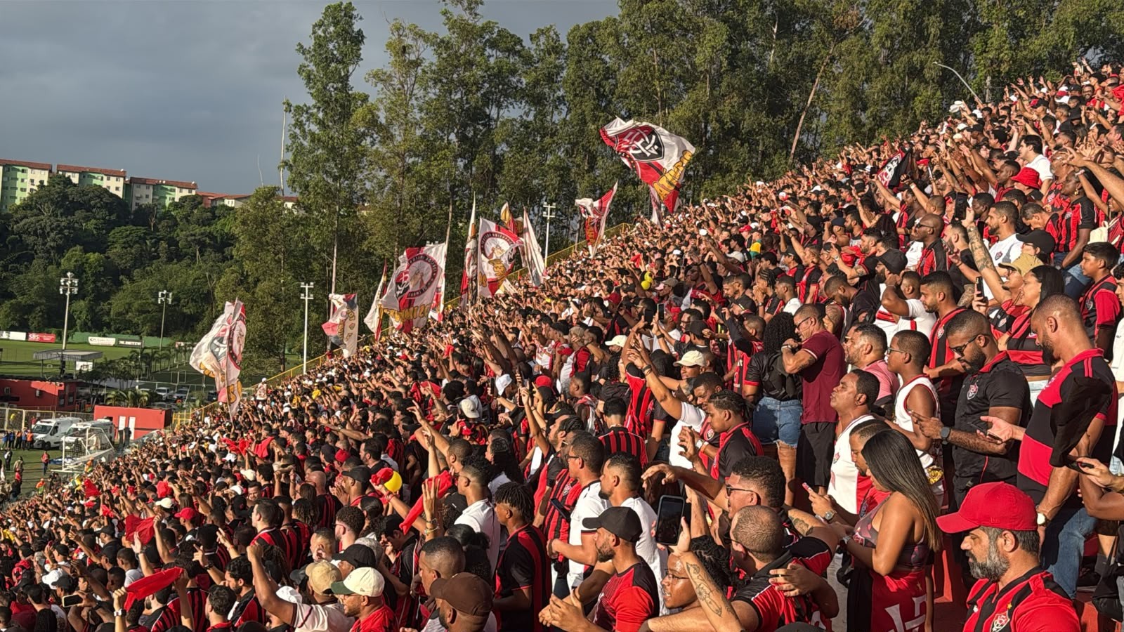 Palpites e dicas para Vitória x Palmeiras pelo Brasileirão