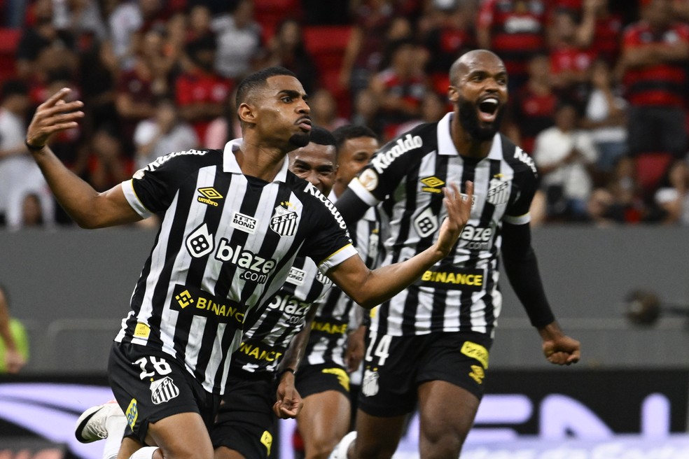 Joaquim comemora gol em Flamengo x Santos — Foto: Mateus Bonomi/AGIF