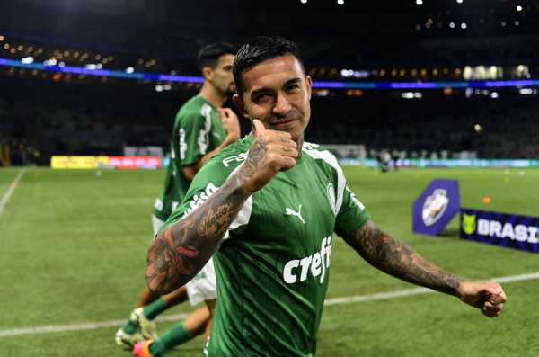 Understand why Dodo sat on the bench, but did not play for Palmeiras against Vasco |  Palm trees