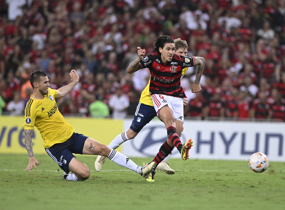 Segundo gol de Pedro, em Flamengo x Millonarios — Foto: André Durão/ge