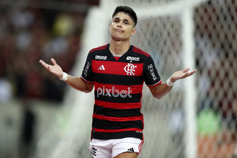 Luiz Araújo comemora gol em Flamengo e Palmeiras — Foto: Alexandre Durão