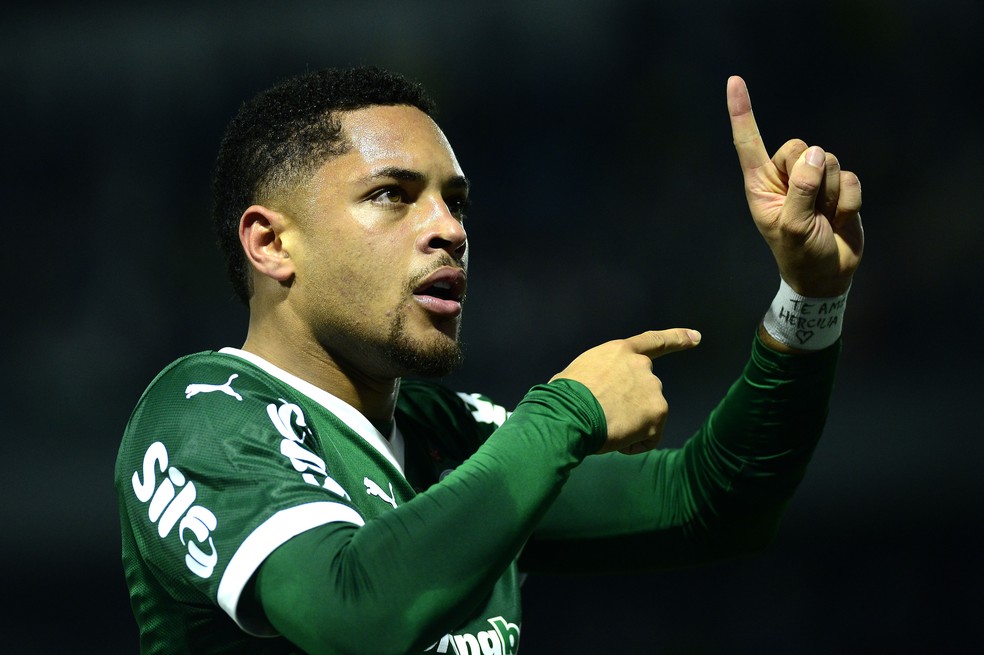 Vitor Roque comemora gol da vitória do Palmeiras sobre o São Paulo pelo Campeonato Brasileiro — Foto: Marcos Ribolli