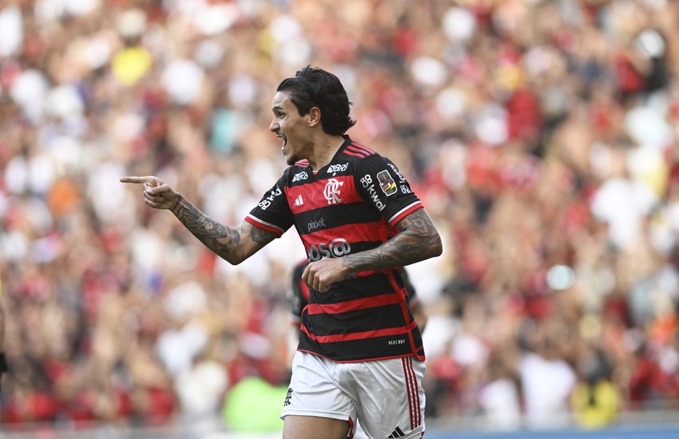 Pedro comemora gol do Flamengo contra o Corinthians — Foto: André Durão