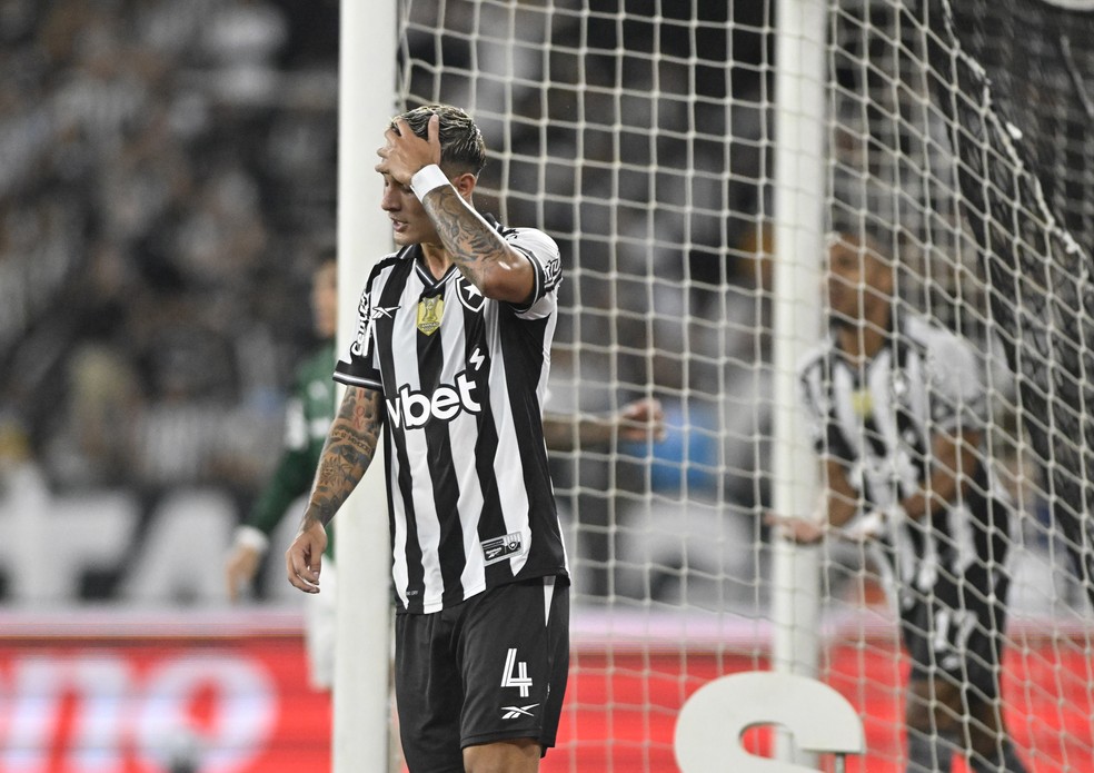 Mateo Ponte se lamenta em jogo Botafogo x Palmeiras; Brasileirão 2025 — Foto: André Durão