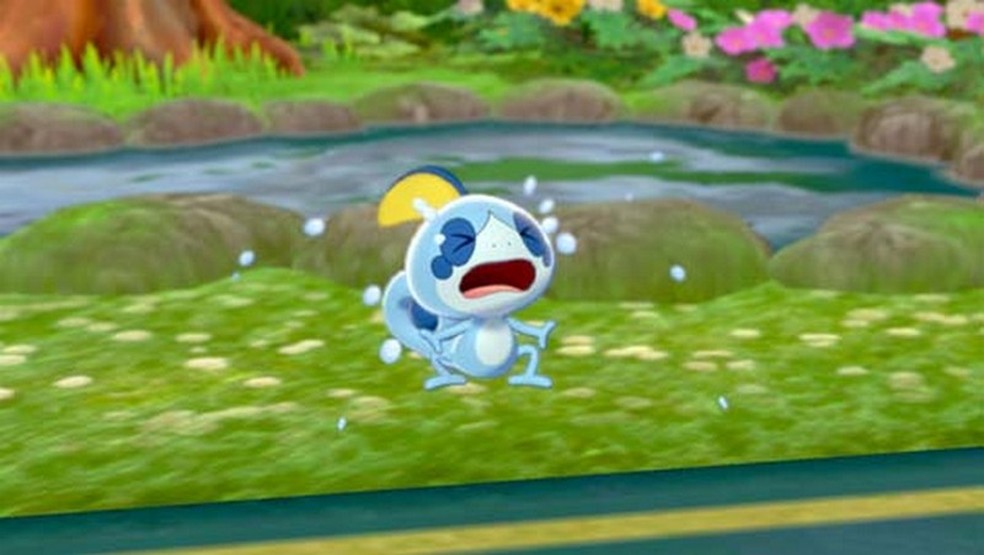 Pokémon Sword & Shield  Jogo terá customização de personagem