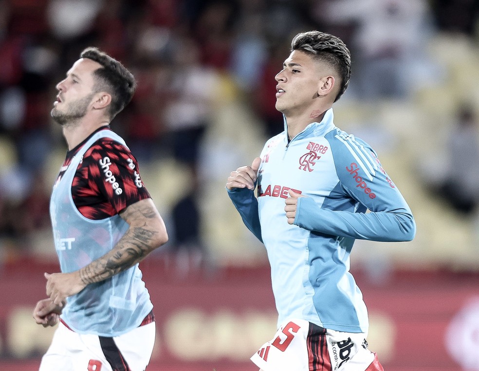 Contratados nesta janela, Sal e Carrascal so opes para o meio-campo do Flamengo  Foto: Gilvan de Souza/CRF