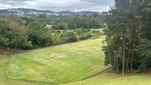 São Paulo levará gramado do Morumbi para CT de Cotia no Brasileirão.