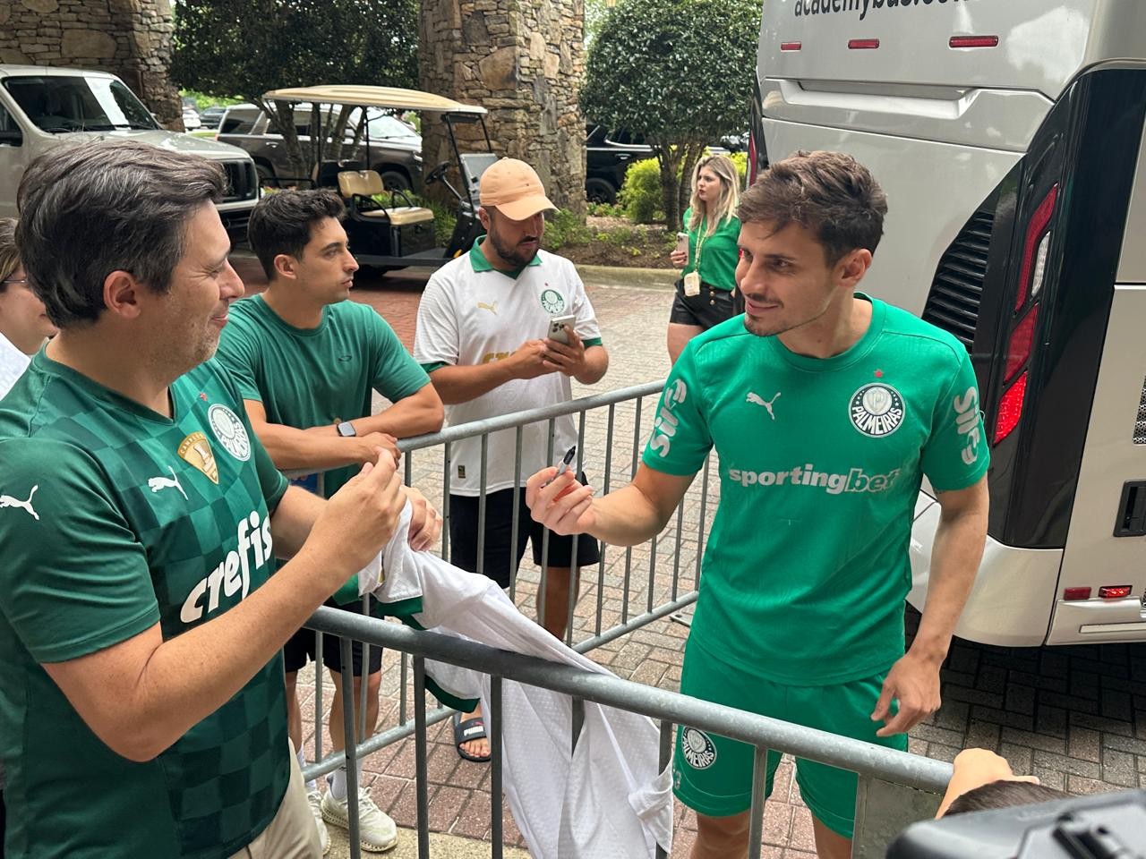 Palmeiras: A Grande Atração da Cidade Verde dos EUA