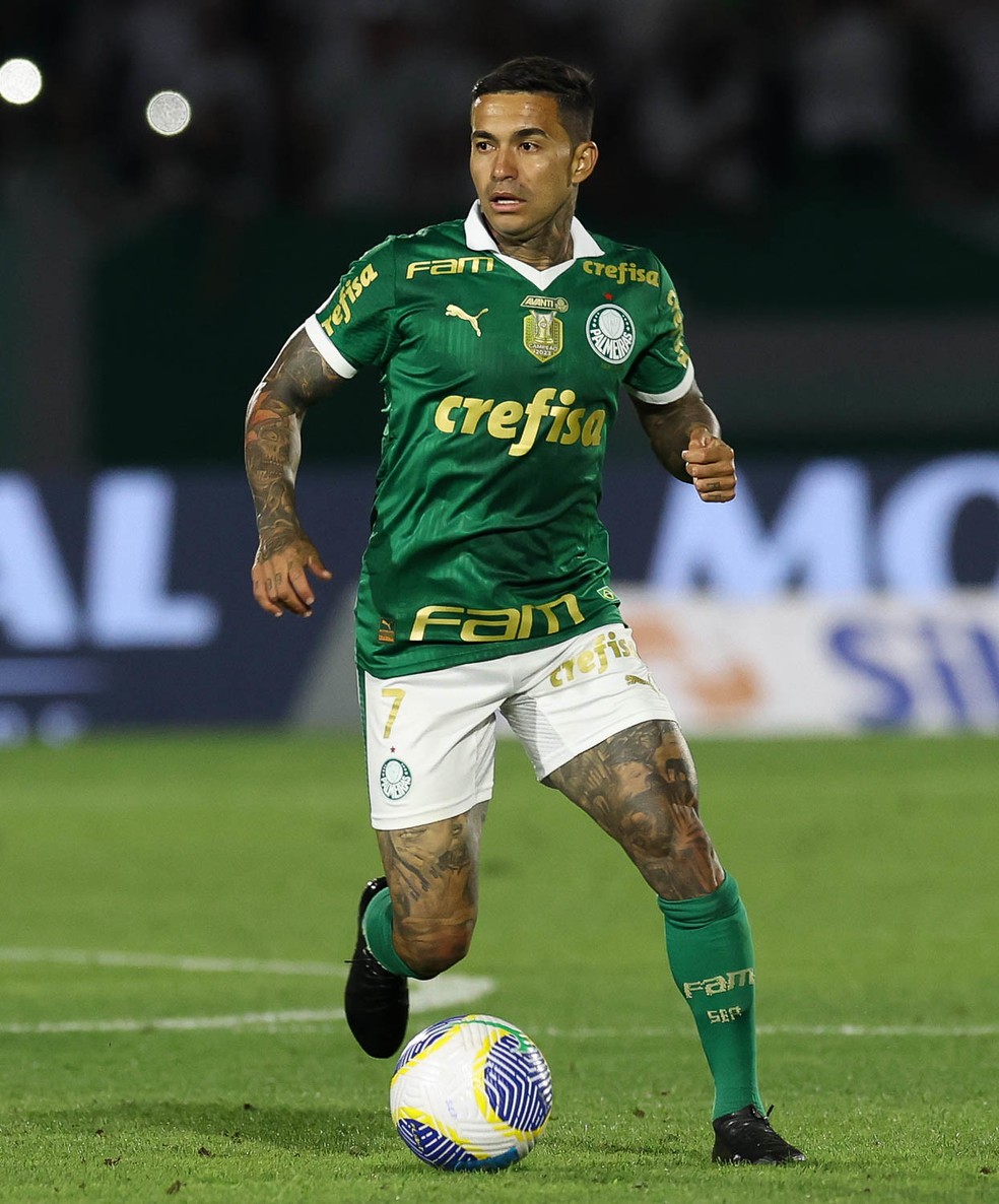 Dudu durante a partida entre Palmeiras e Atlético-MG — Foto: Cesar Greco