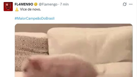 Flamengo provoca o Palmeiras: "Vice de novo"