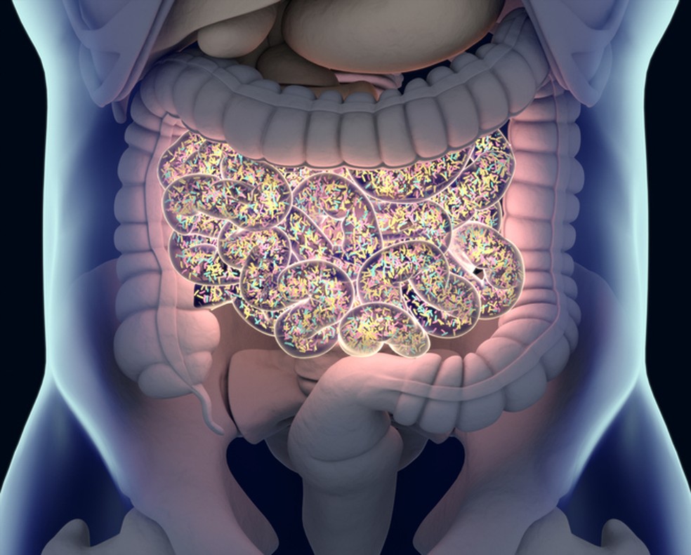 A microbiota intestinal é fundamental para saúde de corpo e mente — Foto: Istock Getty Images