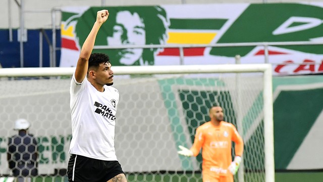 Palmeiras x Botafogo: Tiquinho