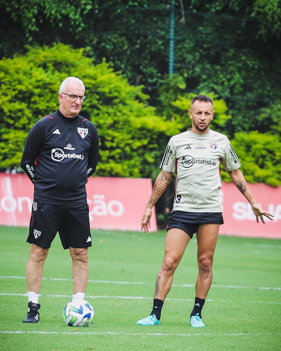 São Paulo FC on X: Tricolor, confira quais são os próximos jogos