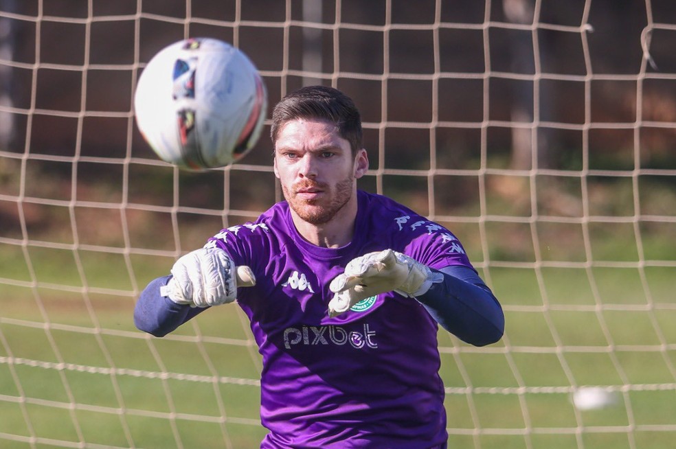 g*o様 ハオルチオプシス　スカブラ　現地球カキコ Londrina anuncia goleiro Maurício Kozlinski como 8º reforço para