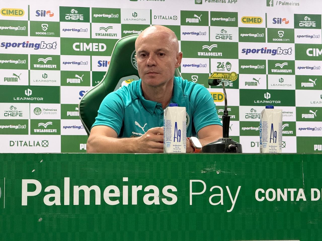 Auxiliar destaca mudanças táticas e elogia desempenho do Palmeiras em clássico: 