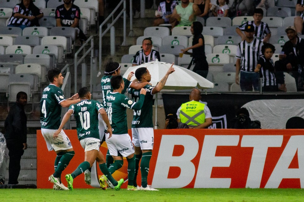 SE Palmeiras on X: ESTAMOS NA FINAL! 💪🐷 Com gols de Murilo e