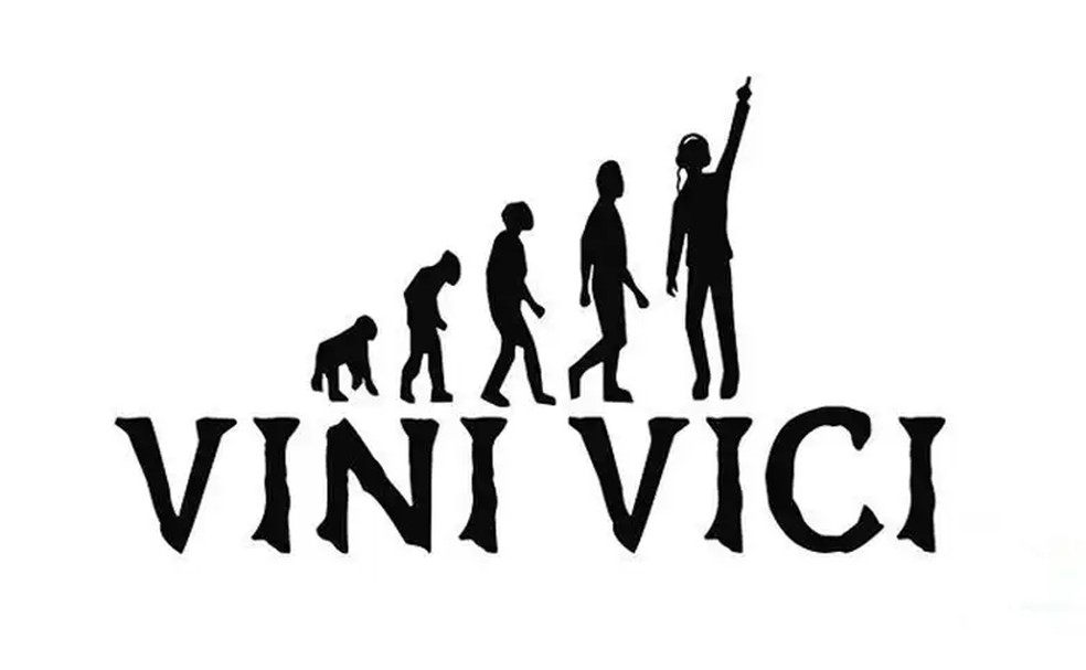 Post do Real Madrid com Vinicius Junior Vini Jr. no Instagram usou logo do grupo israelense Vini Vici, que reproduz a evolução do macaco ao ser humano — Foto: Divulgação/Vini Vici