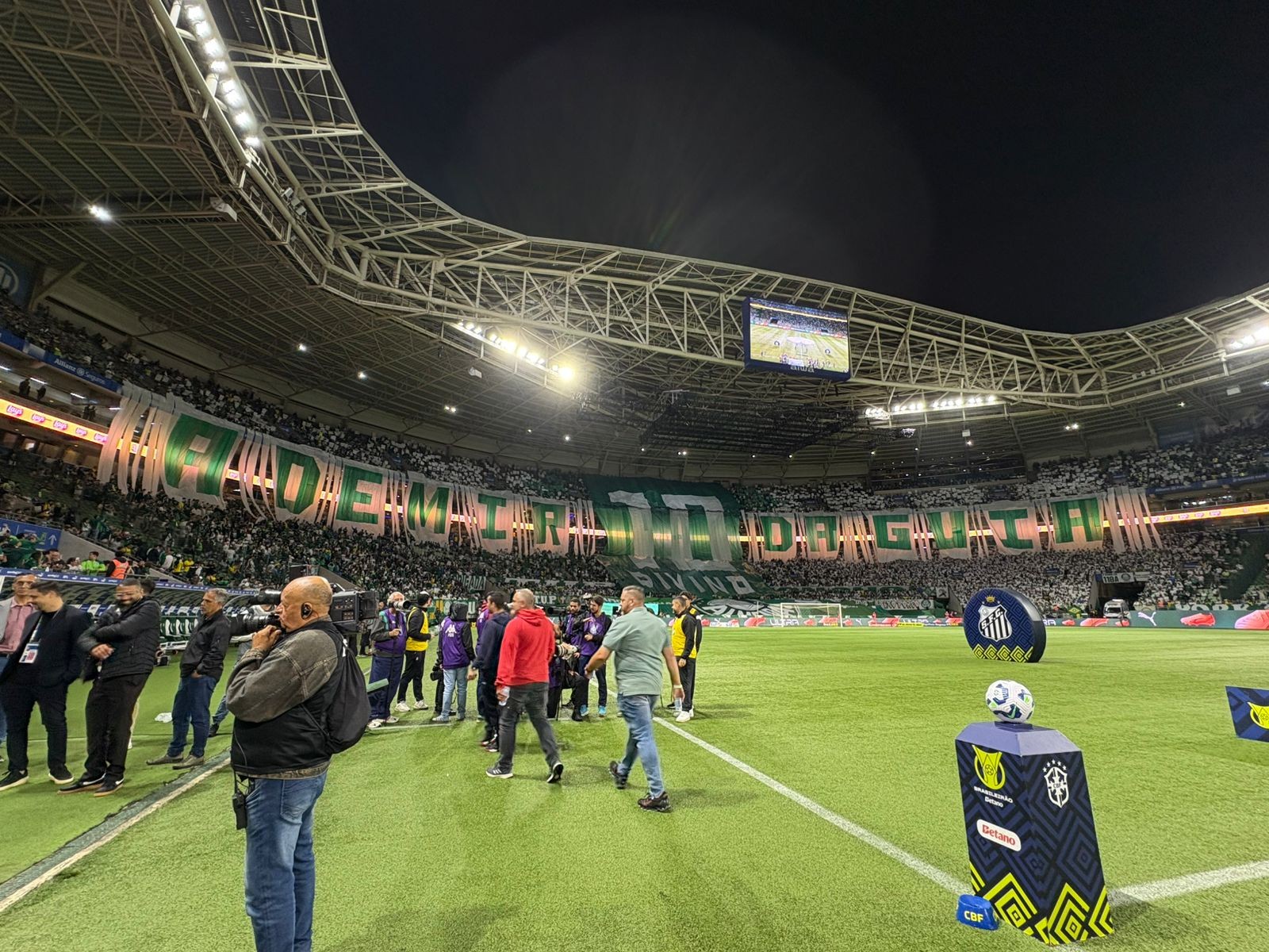 Torcida do Palmeiras homenageia Ademir da Guia com bandeirão e reafirma: 