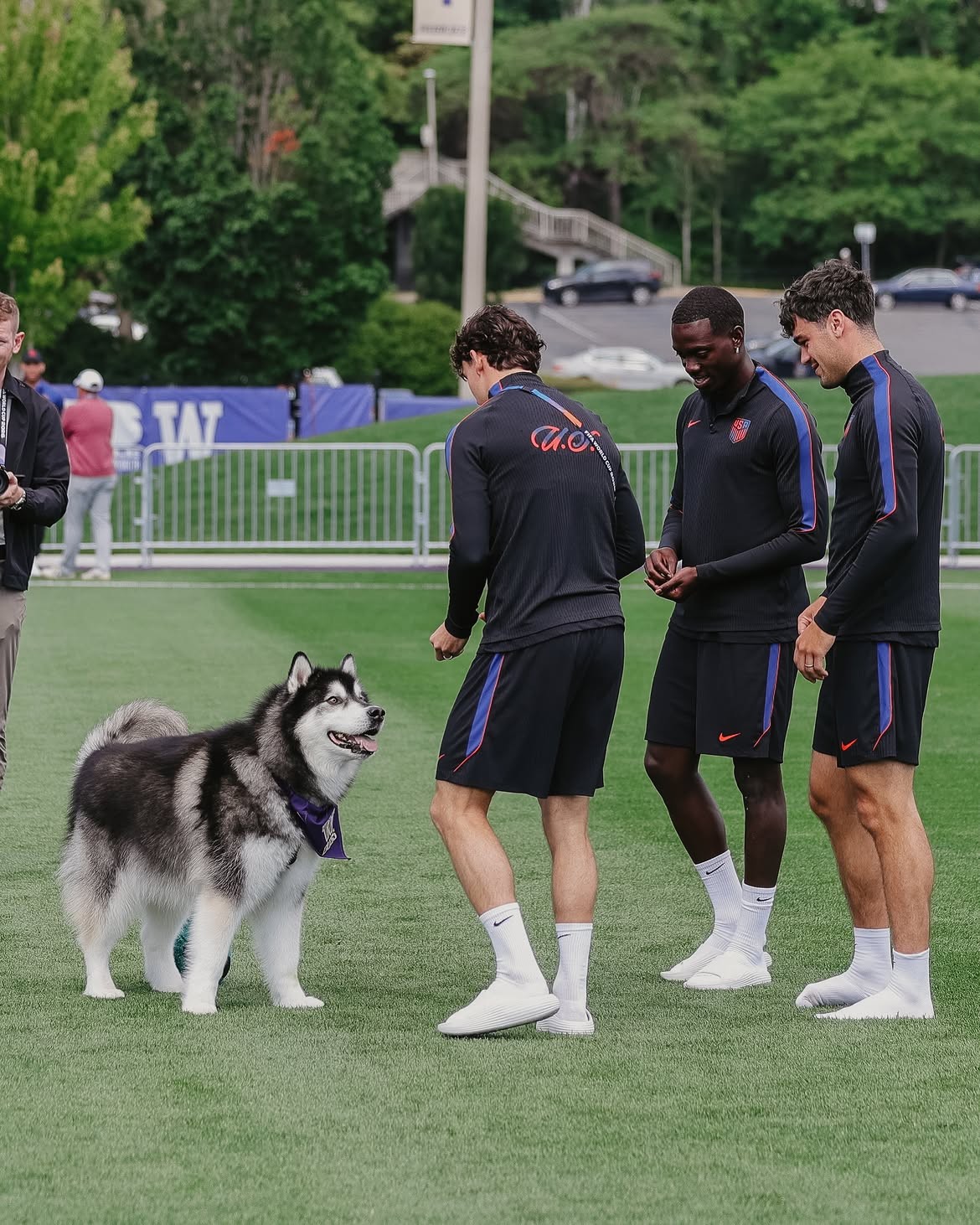 Mascote de universidade dos EUA "invade" treino e faz a alegria da seleção em Seattle