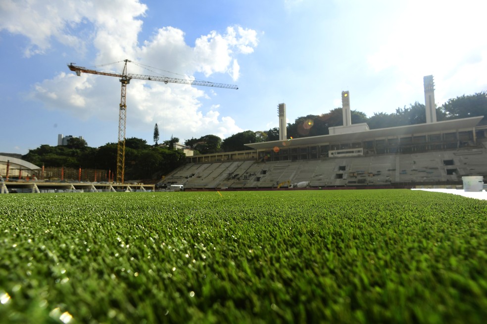 Novo gramado do estádio do Pacaembu — Foto: Marcos Ribolli