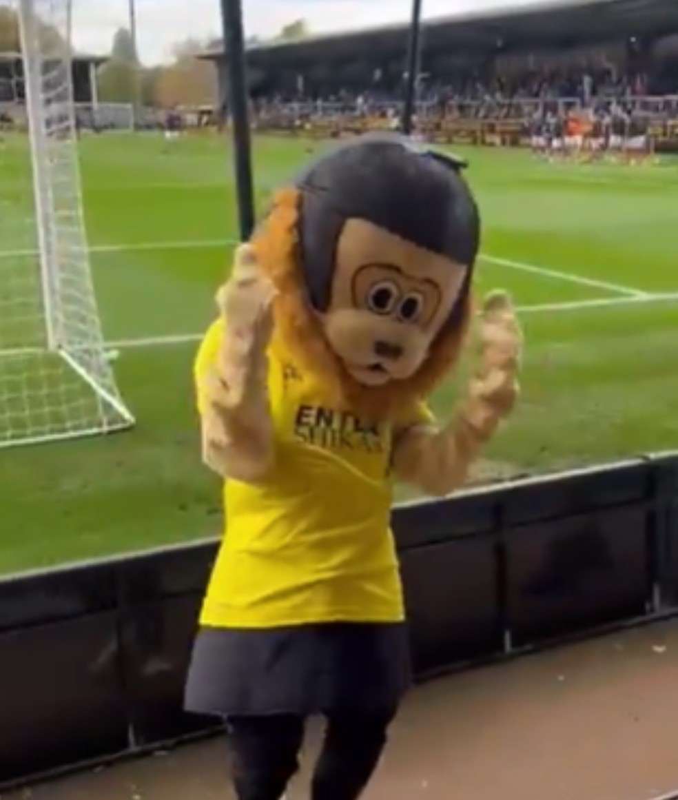 "Sammy The Saint", mascote do St. Albans, da Inglaterra, é retirada de campo por embriaguez — Foto: Reprodução