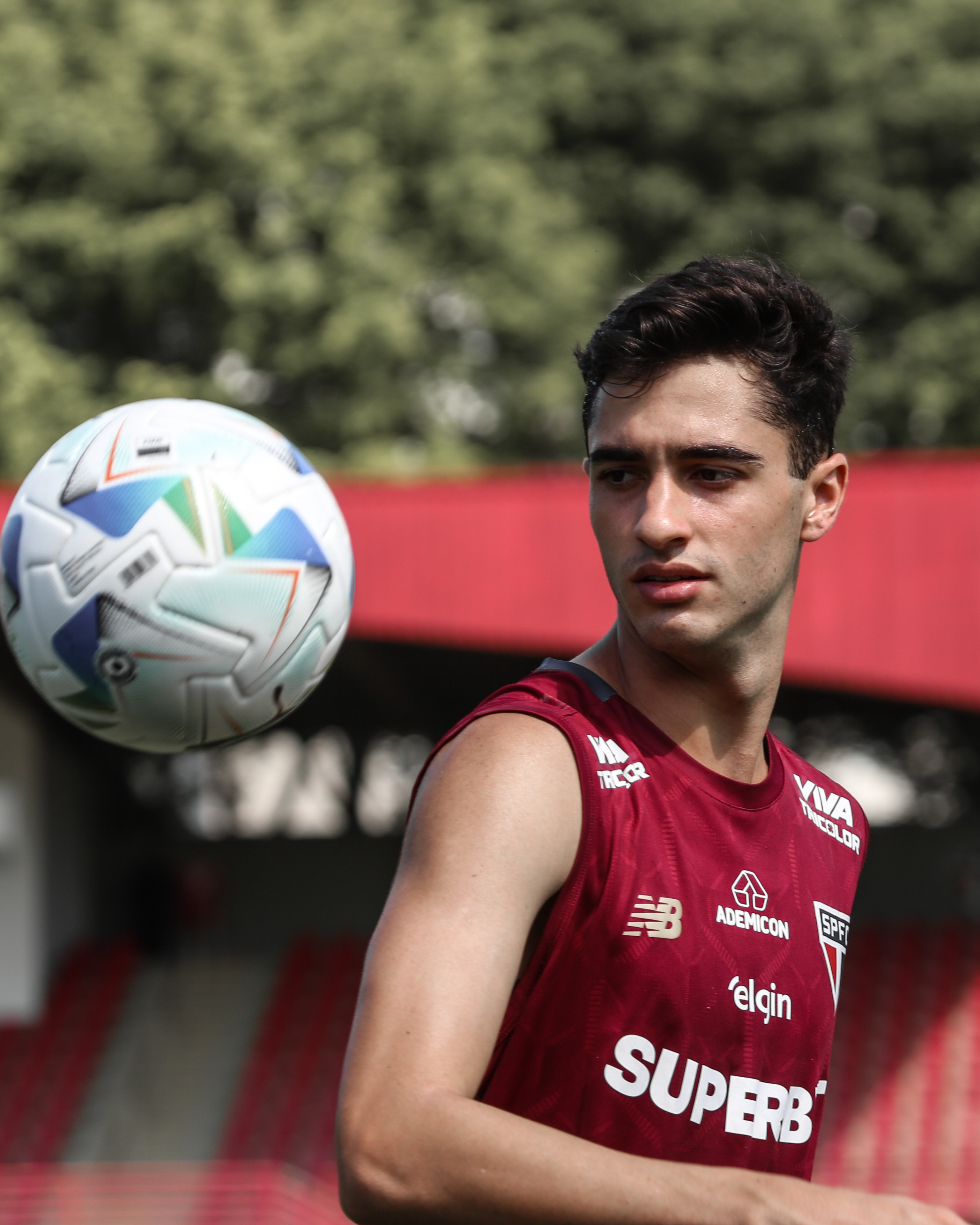 DESEMPENHO FRUSTRANTE! Performance das crias de Cotia abaixo do esperado na temporada