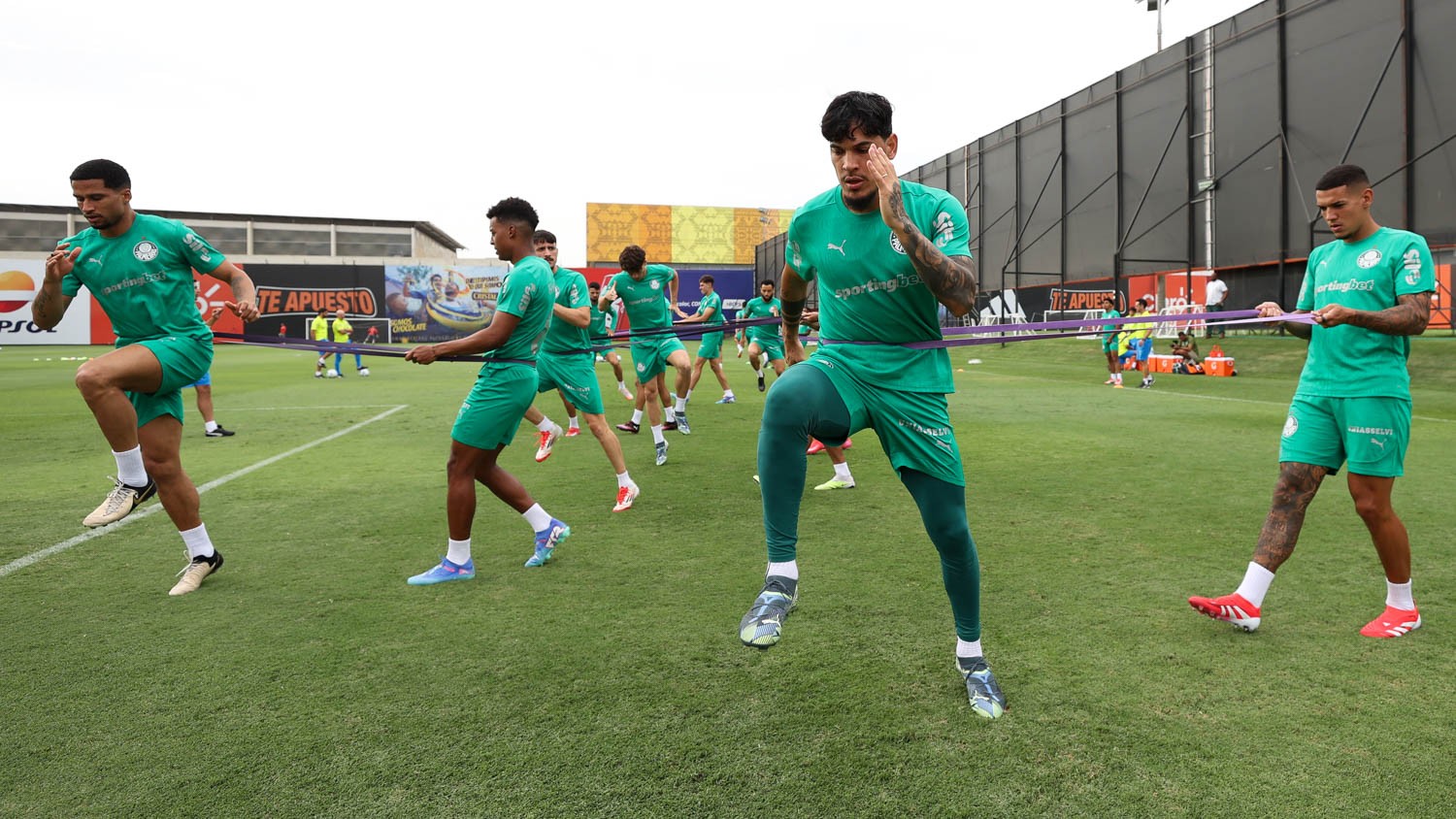Retorno de Gómez no CT da Seleção Peruana impulsiona Palmeiras na Libertadores.