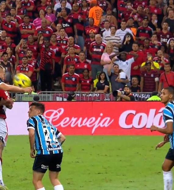 Gato invade Maracanã e rouba a cena em Flamengo x Grêmio; veja