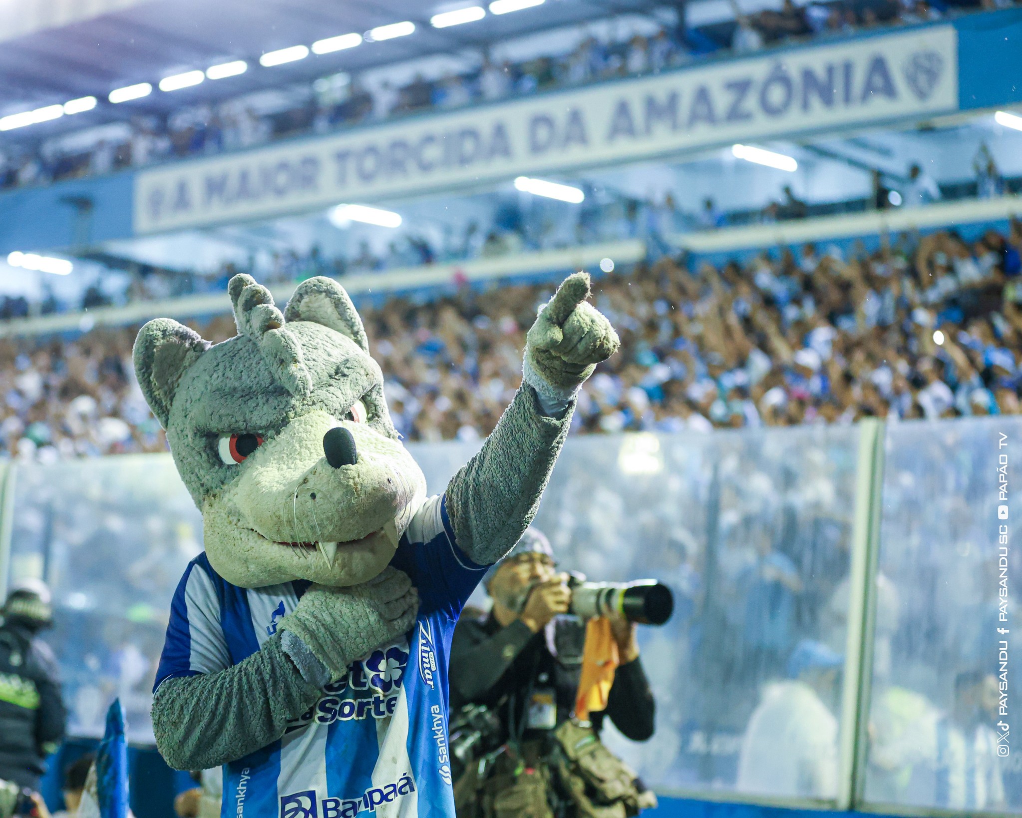 imagem