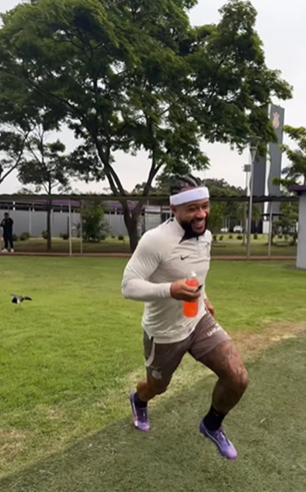 Memphis foge dos quero-queros no CT do Corinthians — Foto: Reprodução