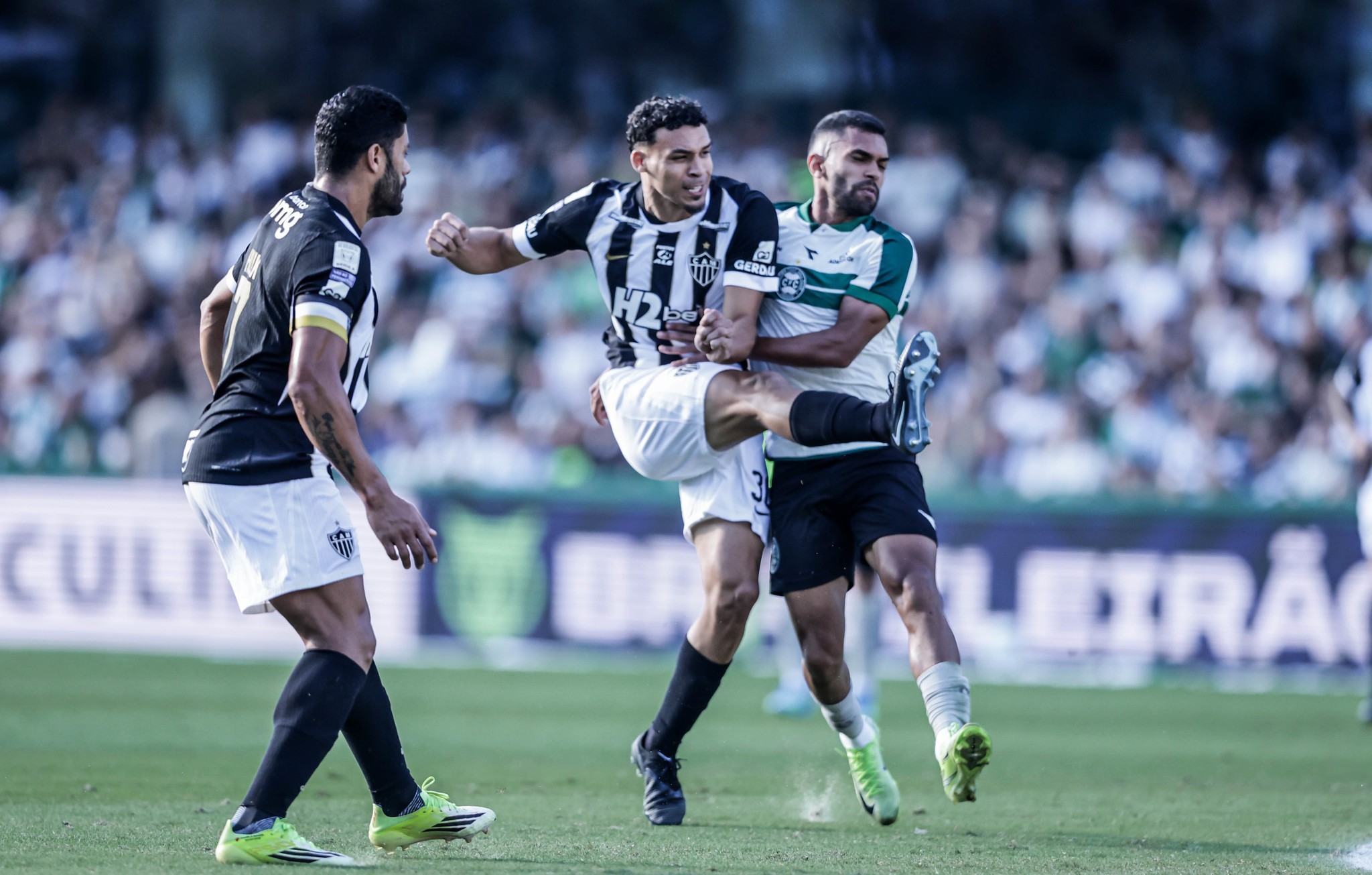 imagem