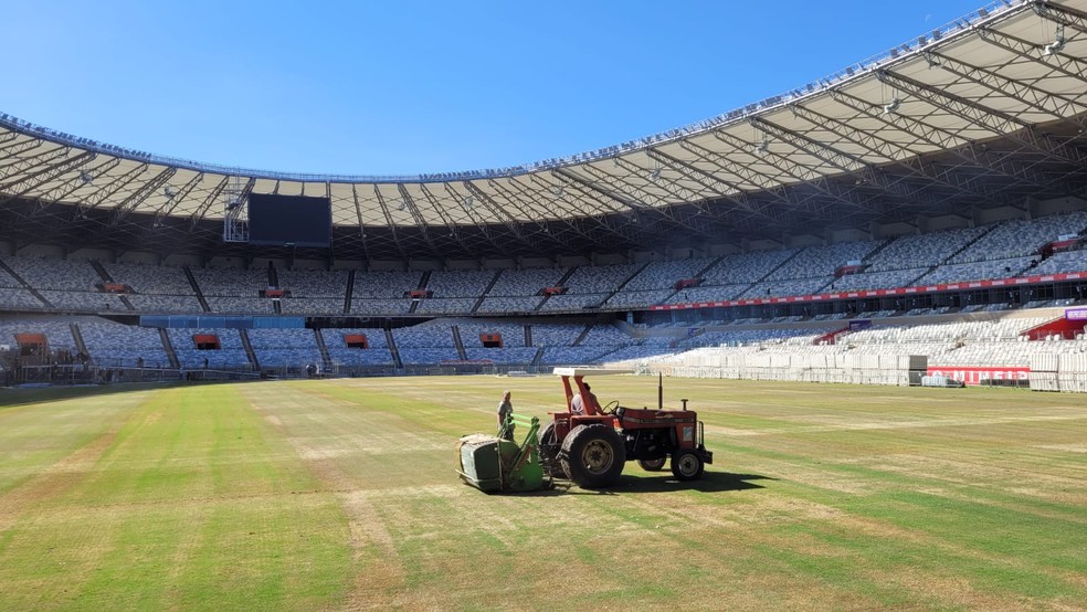 Minas Arena realiza plantio da grama de inverno no Mineirão
