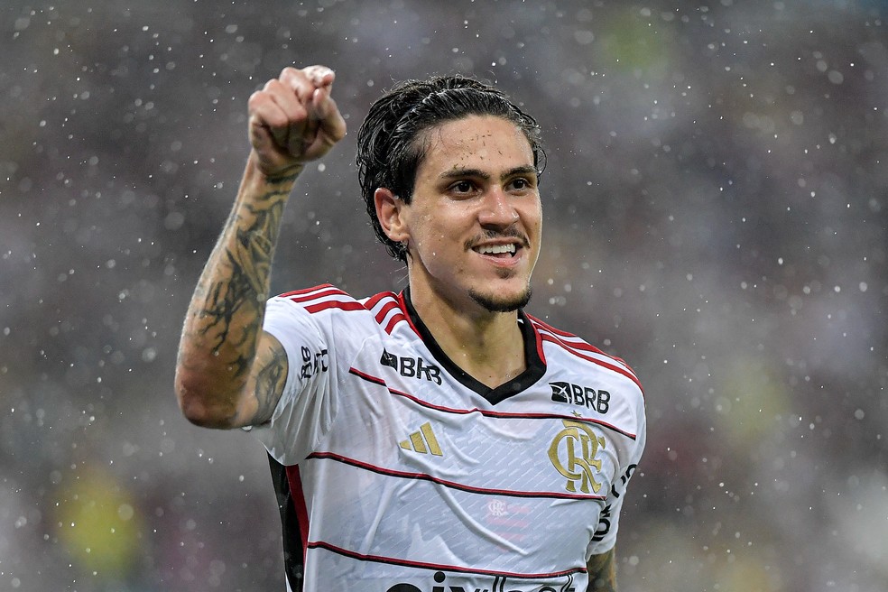 Pedro comemora um gol no Fluminense x Flamengo