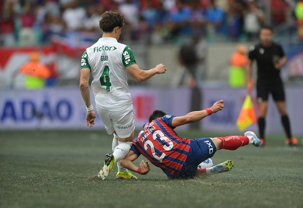 DERROTA FOI CULPA DO GRAMADO? Verdão fara reclamação para CBF sobre gramado!