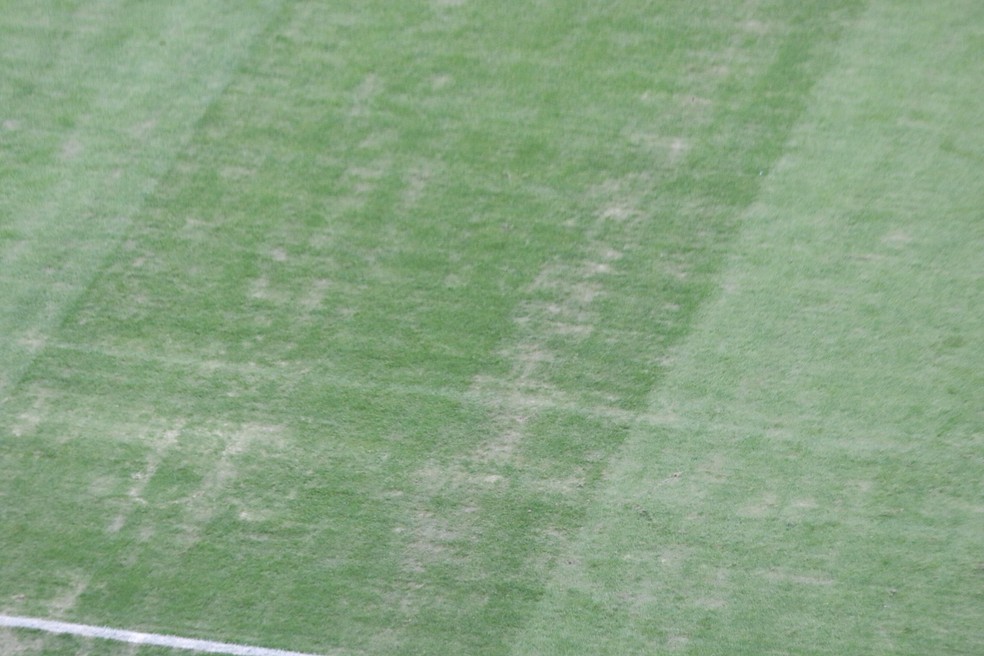 Gramado da Arena do Grêmio foi alvo de reclamação antes da Recopa Gaúcha — Foto: Rafael Favero